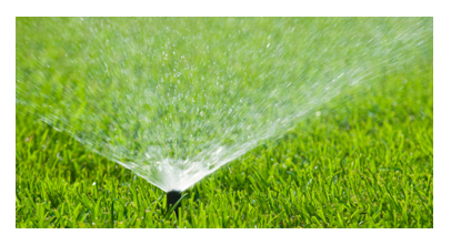 ระบบสปริงเกลอร์ (Sprinkler) สหกิจบัณฑิต สุพรรณบุรี