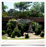 จัดทำสวน สวนสัตว์บึงฉวาก สุพรรณบุรี